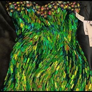ISO this Sherri hill dress!